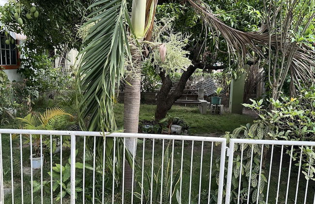 Kingston Oasis - Private House With Mountain Views - Foto 16