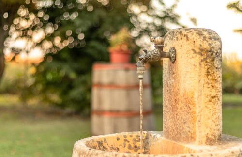 Agriturismo il Bio Nonno - Foto 34