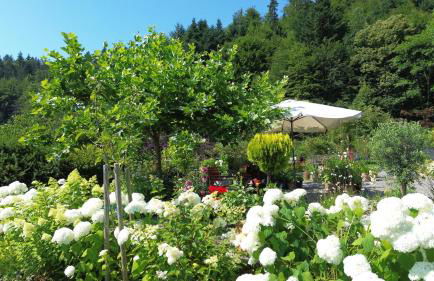 The Moosbach Garden - Foto 41