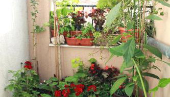 Apartment Bucevic - Photo 5