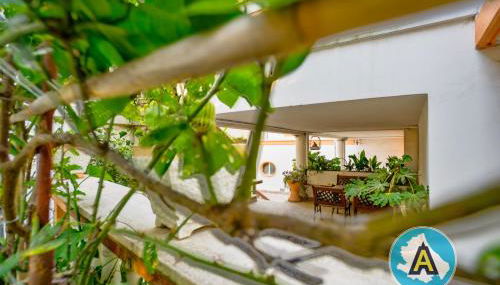 Appartamenti di Catia a due passi dal mare - Foto 3, Garden view