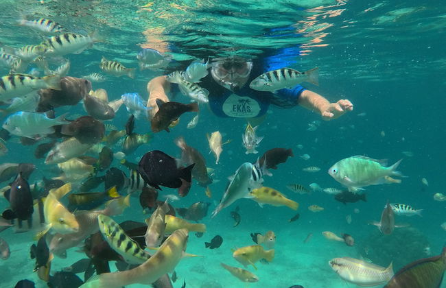 Ekas Surf Resort - Foto 35