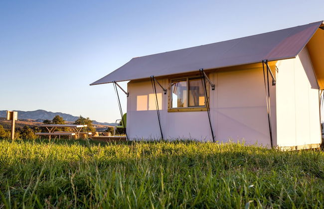 Royal Gorge Cabins - Photo 9