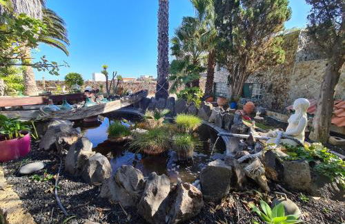 Finca Tropical - Foto 35