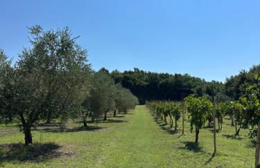 Family Farm Soc. Agr. a r.l. - Foto 27