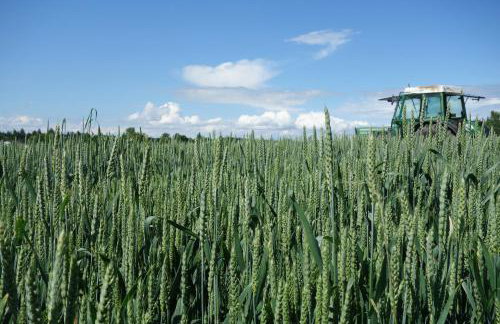 Haus am Hof - Foto 29