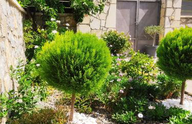 Sunrise Residence - Foto 28