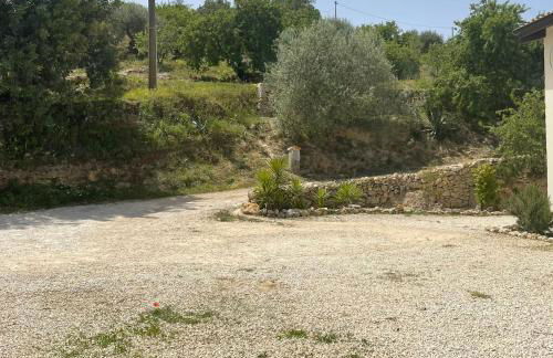 Il Primo Fiore - Foto 31