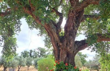 The Blue House Valley - Foto 16