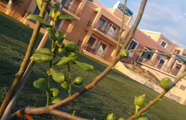 Finiki Plaza - Photo 43