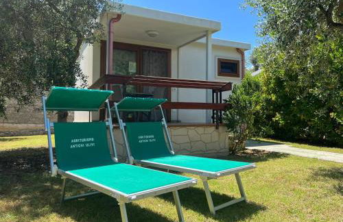 Agriturismo Antichi Ulivi - Foto 12