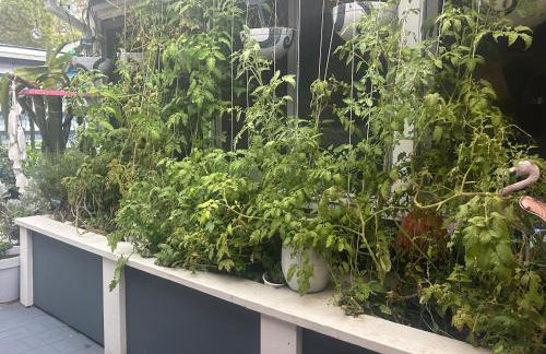 Artistic Retreat, King Suite with Private Balcony! - Foto 71