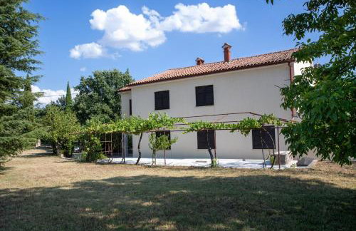 Apartments with parking space Sveti Lovrec, Central Istria - Sredisnja Istra - 24888 - Foto 3