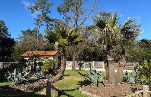 Le Chai de l'Océan - Villa Soulacaise plage à 100m Piscine Jardin 1400m2 - Foto 34