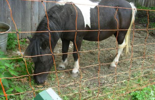 Agriturismo Prati Oitzinger - Foto 22
