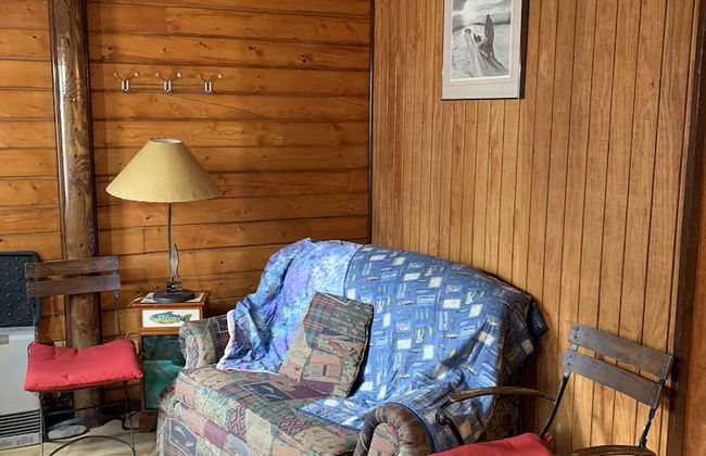 Joy's Kenai River Cabins - Foto 41