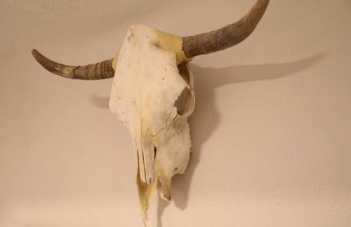 Cowboy Den-Private Hot Tub-Game Room-Pet Friendly-No Pet Fees! - Foto 28