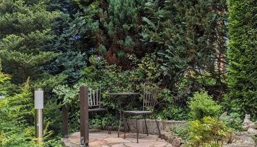 Ferienwohnung Hähnert - Foto 4