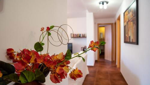 Casa Idilica Apartment - Foto 3, Lobby or reception