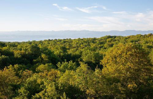 Vila Vista - Photo 43