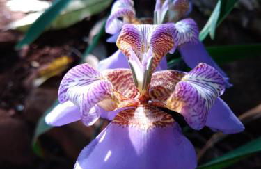 Pousada Rio Gouveia - Foto 84