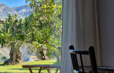 Tropical Studio - Foto 29