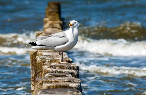 Strandvilla Marina - Foto 30