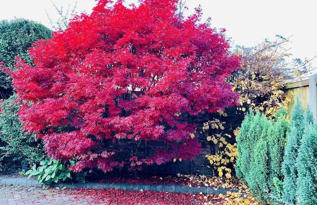 Ideal for Alton Towers, Staffordshire and The Peak District - Foto 39