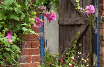 The Cycling Cottage, Surrey Hills AONB, Dorking - Foto 13
