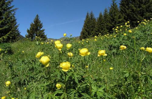 Residence Zecchini - Foto 13