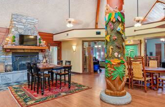 2 MI to USF + Long Term Stays allowed + Gym + Pool - Foto 6