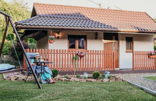 Domki nad Strumykiem-Solina - Foto 19