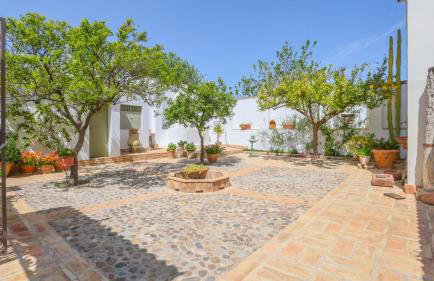 Finca El Olivo Llorón Montilla by Ruralidays - Foto 6