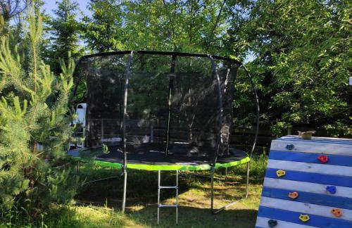 Domki w brzozach - Foto 52