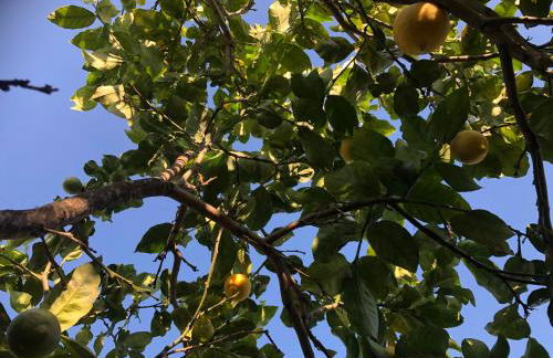 Beautiful Farm House - Foto 17