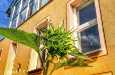 Wohnung 6 und 7 - Foto 16