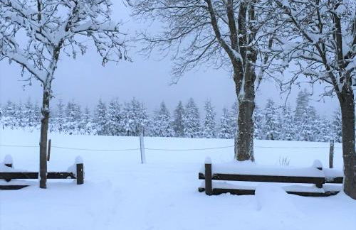 Ferienwohnung Erholung in Altastenberg - Photo 24