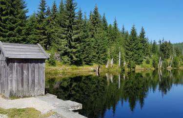 Apartments bei Familie Liebl - Foto 1