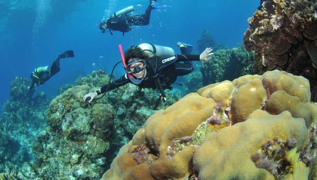 Explorando el fondo marino de Búzios
