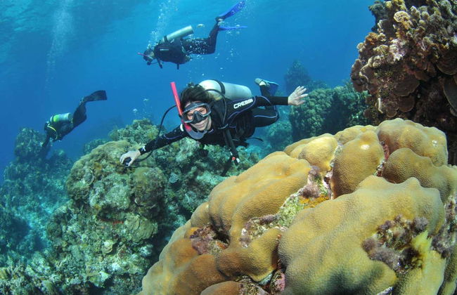 Bautismo de buceo en Búzios - Foto 4