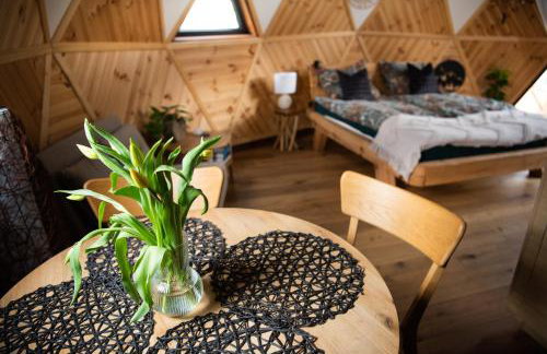 4 Żywioły całoroczne domki w górach - dostęp do sauny - Foto 19