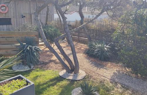 coucher de soleil vensac ocean Montalivet - Foto 42