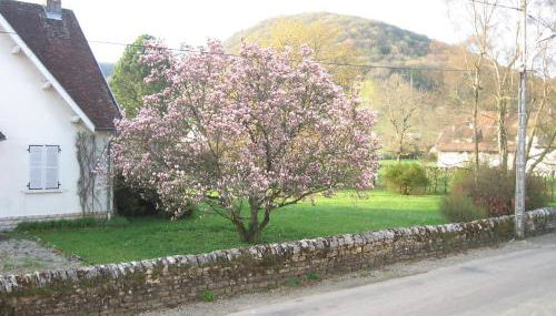 Les magnolias - Foto 2