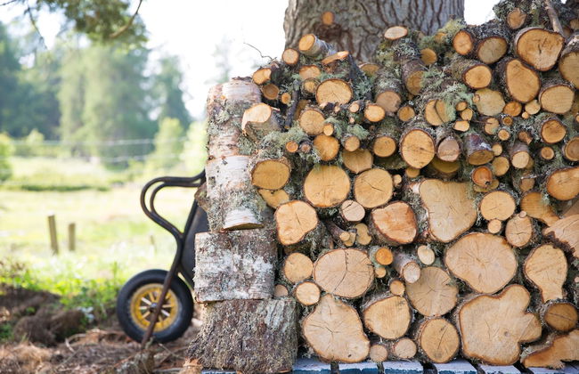 Juniper Hill, Loch Achilty - Foto 30