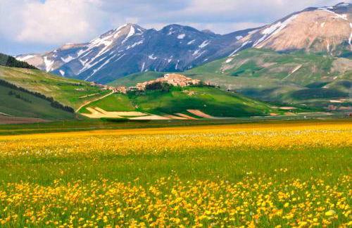 Marco & Andrea Agriturismo Collepina - Foto 16