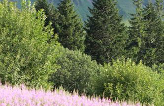 Studio Village des Longes - Foto 4