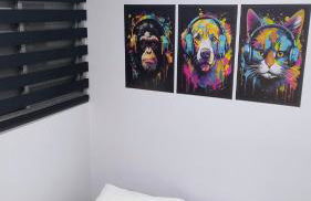 Apartamento Santana Expo Center Norte vista Top cidade de São Paulo e Paulista - Foto 15