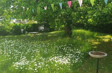 Haus Rosenbusch - Foto 20