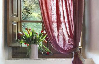 Il Molinaccio - Foto 24
