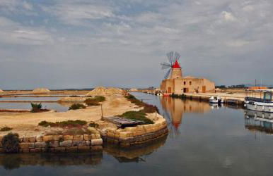 Il Violoncello - Foto 29